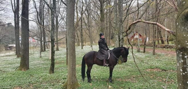 Söderåsen National Park: 2.5-Hour Horseback Ride - Customer Feedback