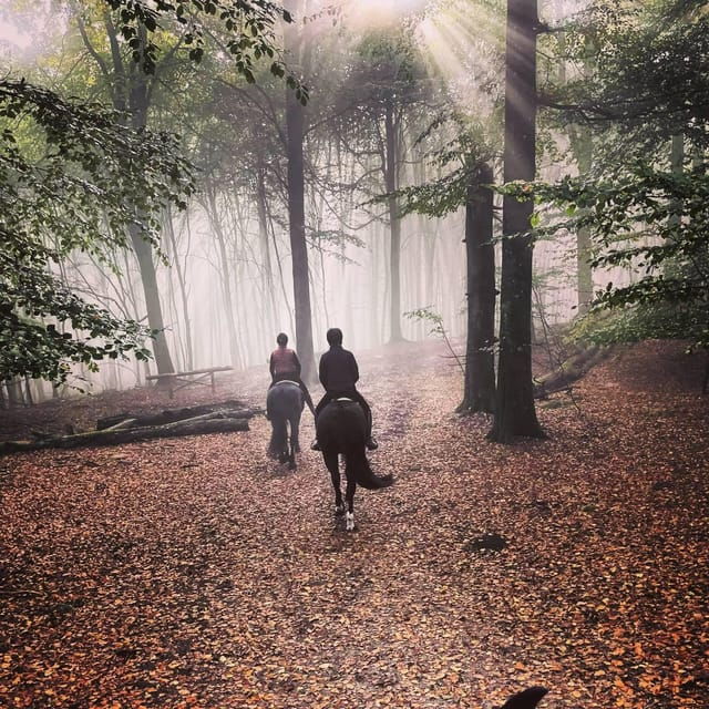 Söderåsen National Park: 2.5h Horseback Ride - Pricing and Booking