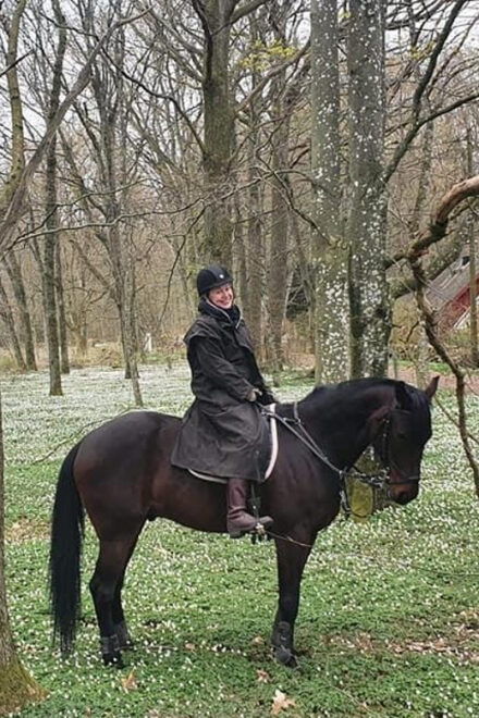 Söderåsen National Park: 2.5h Horseback Ride - Participant Information