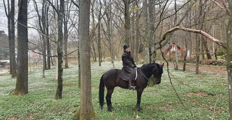 Söderåsen National Park: 3.5 Hours of Riding for Experienced Riders - Good To Know