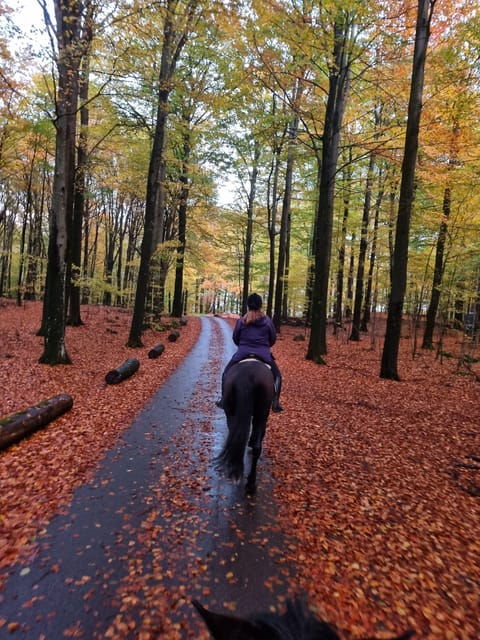 Söderåsen National Park: Horseback Riding Vacation 2 Nights - Good To Know