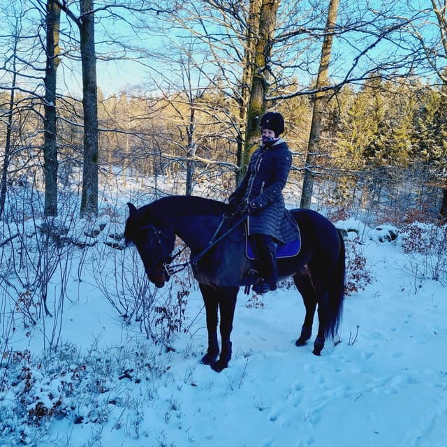 Söderåsen National Park: Horseback Riding Vacation 2 Nights - Accommodation and Amenities