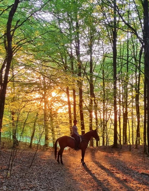 Söderåsen National Park: Horseback Riding Vacation 2 Nights - Riding Itinerary: Day 1