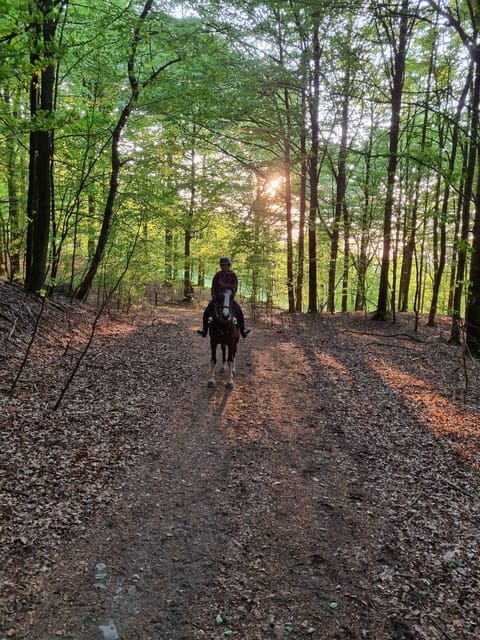 Söderåsen National Park: Horseback Riding Vacation 2 Nights - Riding Itinerary: Day 2