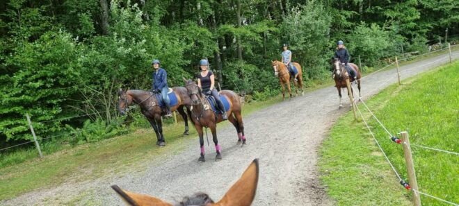 Söderåsen National Park: Horseback Riding Vacation 2 Nights - Riding Itinerary: Day 3