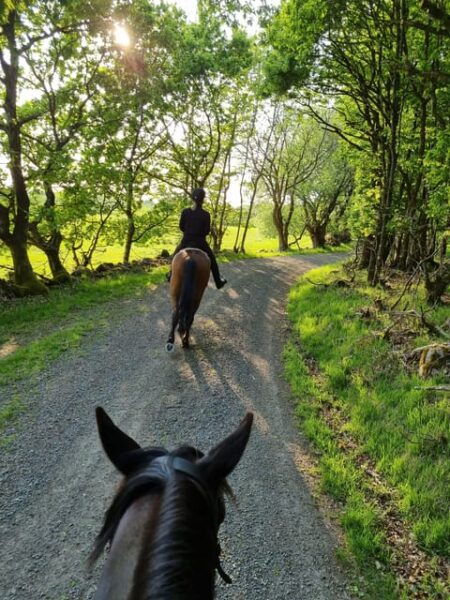 Söderåsen National Park: Horseback Riding Vacation 2 Nights - Cancellation and Booking Policy