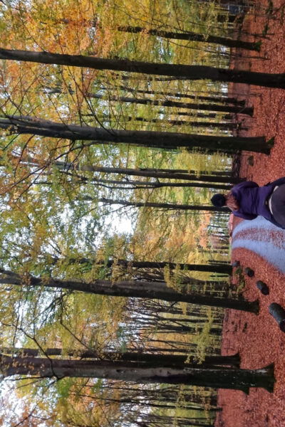 Söderåsen National Park: Horseback Riding Vacation 2 Nights - Getting to the National Park
