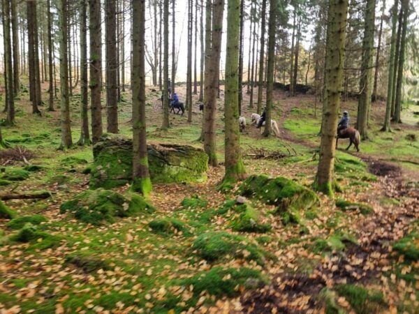 Söderåsen National Park: Horseback Riding Vacation 2 Nights - Frequently Asked Questions