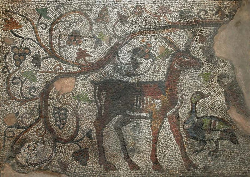 Sofia: Augusta Trayana - From Neolithic to Modern Times Tour - Good To Know