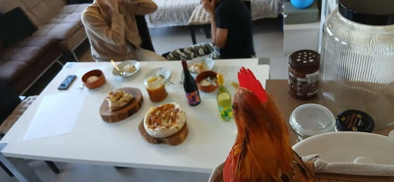 Sofia: Banitsa Pastry Class with a Local with Bulgarian Wine - Practical Tips