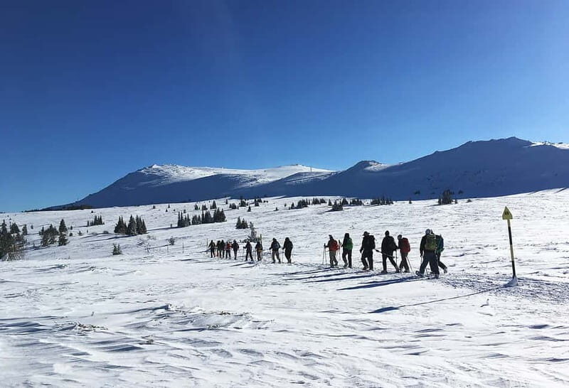 Sofia: Black Peak-Vitosha Mountain Snowshoeing Day Trip - An In-Depth Look at the Tour Experience
