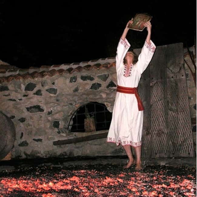 Sofia by Night: Panoramic City Tour and Folklore Dinner - What Reviewers Say