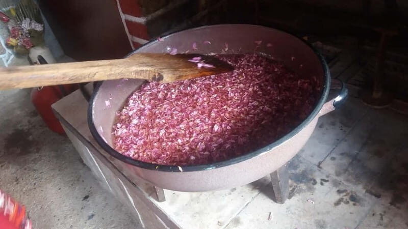 Sofia Kazanluk Rose Valley & Oil Distillery Tour - Authentic and Enriching Experience