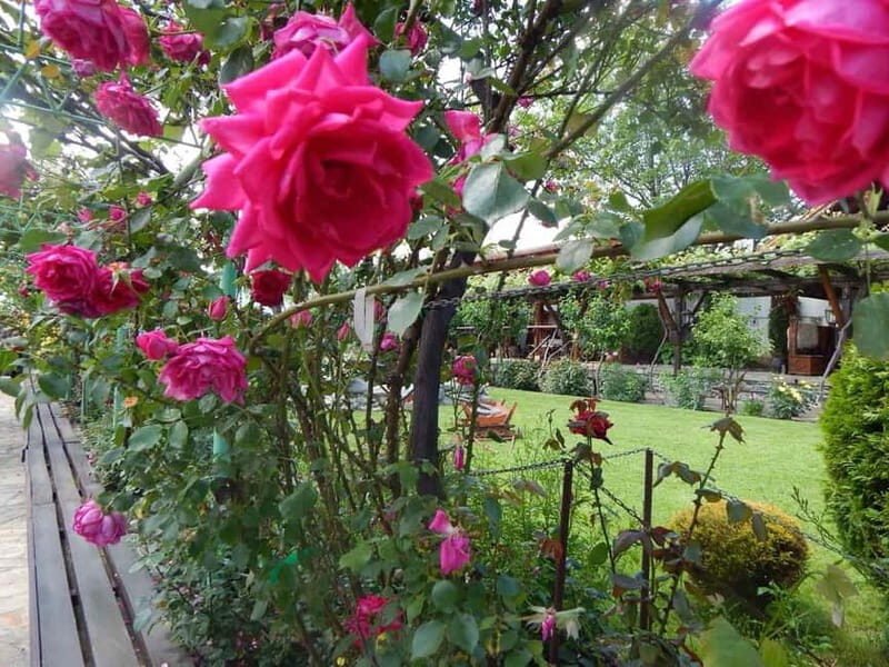 Sofia Kazanluk Rose Valley & Oil Distillery Tour - Final Words