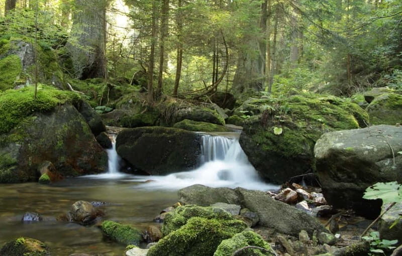 Sofia: Lovech, Devetaki Cave and Krushuna Waterfalls Tour - Good To Know