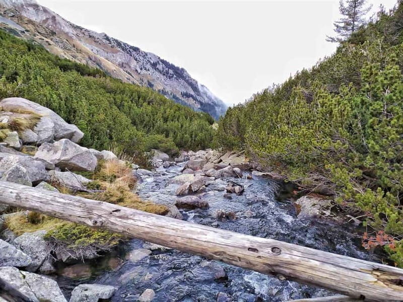 Sofia: Pirin National Park Hike & Bansko Visit - Practical Tips for the Trip