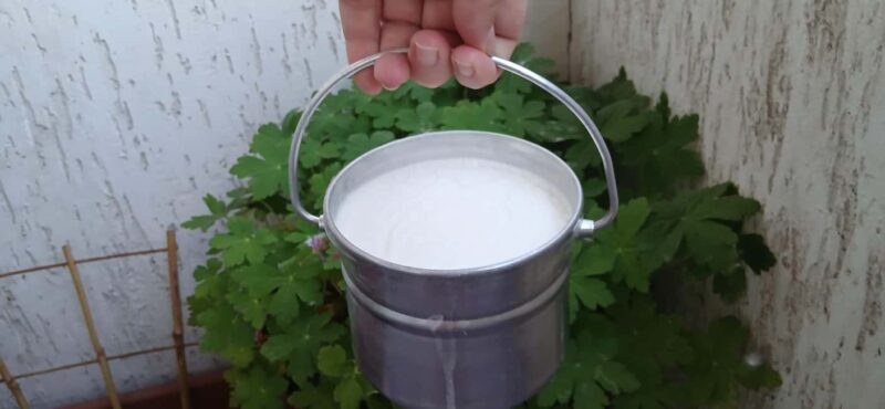 Sofia: Taste Bulgarian Yogurt Kiselo Mlyako in a Family Home - Good To Know