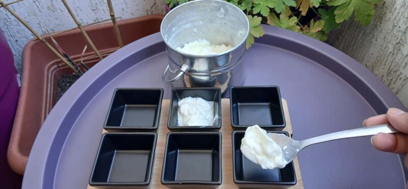 Sofia: Taste Bulgarian Yogurt Kiselo Mlyako in a Family Home - The Itinerary: What to Expect