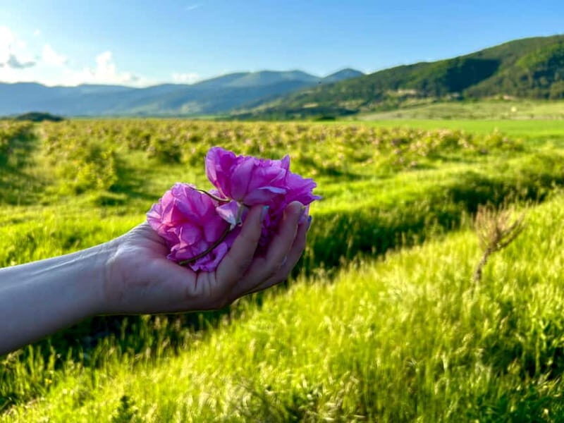 Sofia:The Highlights of Bulgaria - Rose Valley and Buzludzha - Who Will Love This Experience?