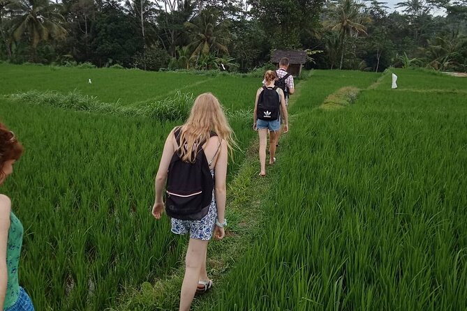Soft Trekking In Tete Batu - Overview