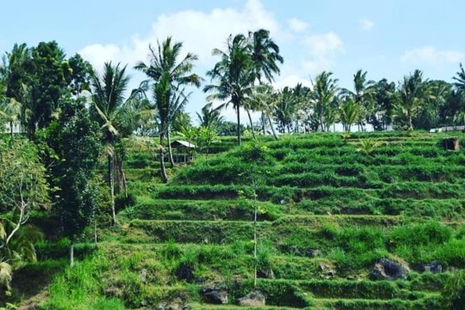 Soft Trekking In Tete Batu - Scenic Trails