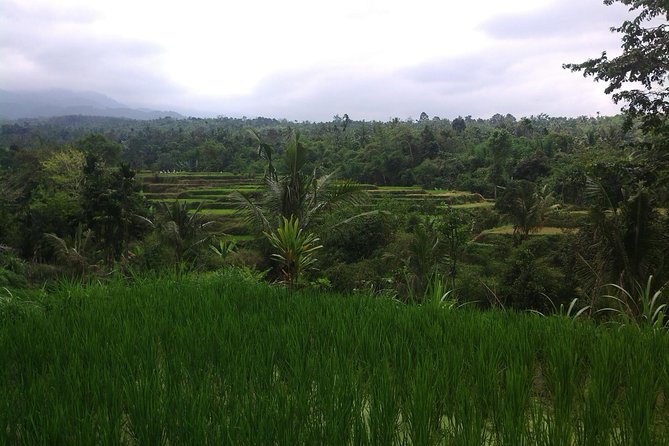 Soft Trekking Tetebatu - Trail Highlights