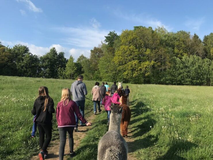 Sohland an Der Spree: Walk With an Alpaca - Experience Highlights