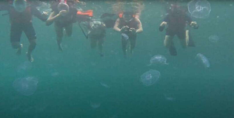 Sohoton Cove: Swim with Jellyfish & Explore Hidden Lagoons - Sohoton Cove: Swim with Jellyfish & Explore Hidden Lagoons