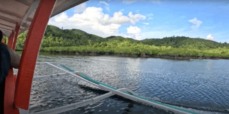 Sohoton Cove: Swim with Jellyfish & Explore Hidden Lagoons - Authentic Insights from Past Travelers