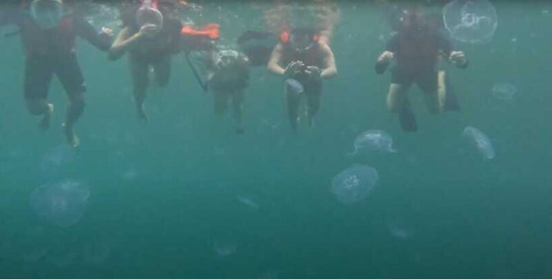 Sohoton Cove: Swim with Jellyfish & Explore Hidden Lagoons - Who Should Consider This Tour?