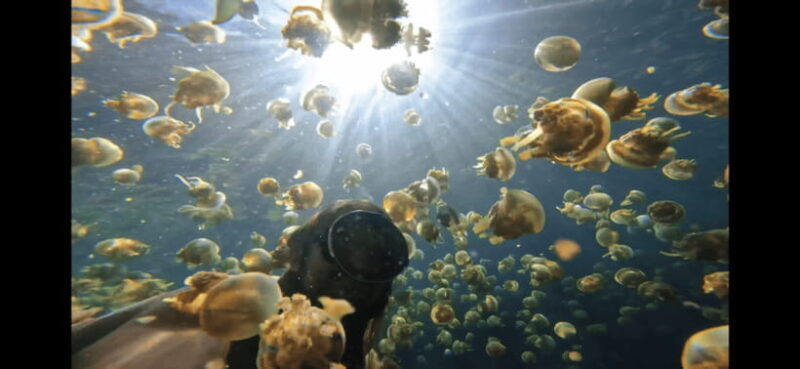 SOHOTON COVE TOUR - Authentic Insights from Travelers