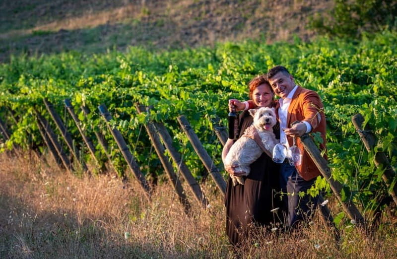 Soiana: Vineyard & Cellar Tour with Wine Tasting near Pisa - Good To Know