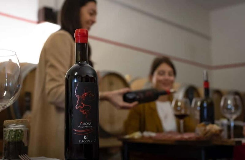 Soiana: Vineyard & Cellar Tour with Wine Tasting near Pisa - Exploring the Vineyard & Cellar: What to Expect