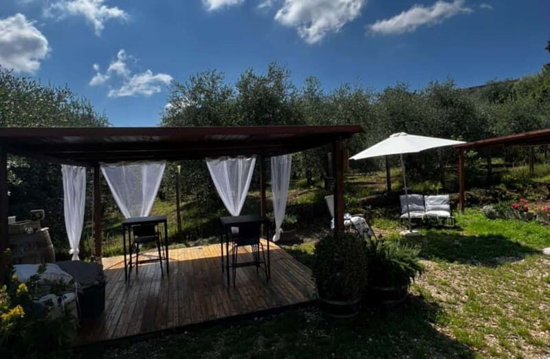 Soiana: Vineyard & Cellar Tour with Wine Tasting near Pisa - The Value and Overall Impression