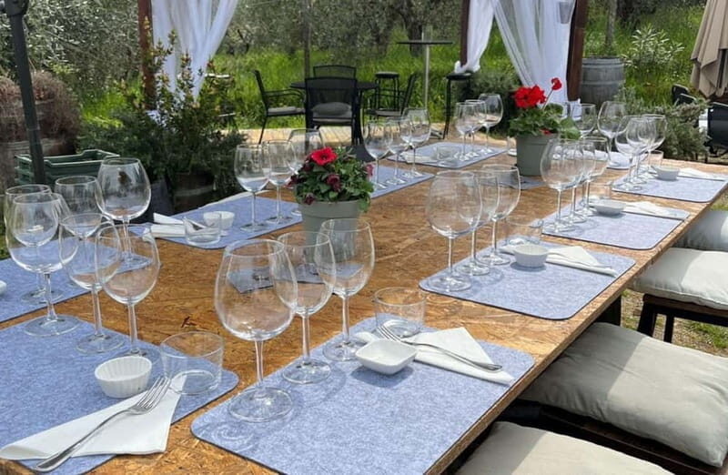 Soiana: Vineyard & Cellar Tour with Wine Tasting near Pisa - Who Is This Tour Best For?