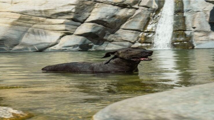 Sol De Mayo Oasis: Explore Natural Springs and Charming Town - Oasis Escape: A Blend of Relaxation and Exploration
