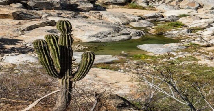 Sol De Mayo Oasis: Explore Natural Springs and Charming Town - Seamless Transportation With an Expert Guide