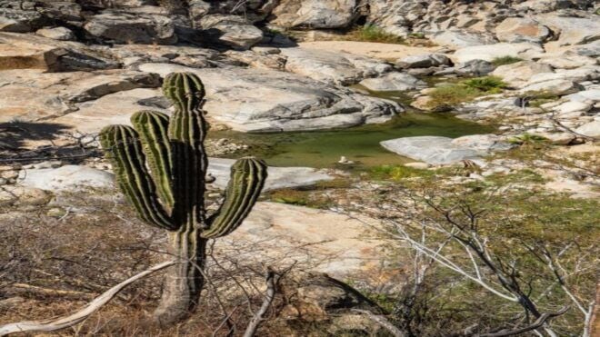 Sol De Mayo Oasis: Explore Natural Springs and Charming Town - Cultural Immersion and Tranquil Experiences
