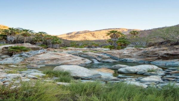 Sol De Mayo Oasis: Explore Natural Springs and Charming Town - The Sum Up