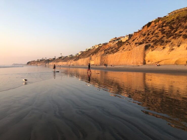 Solana Beach: Full Day Skimboard Rental - Skimboarding Experience Highlights
