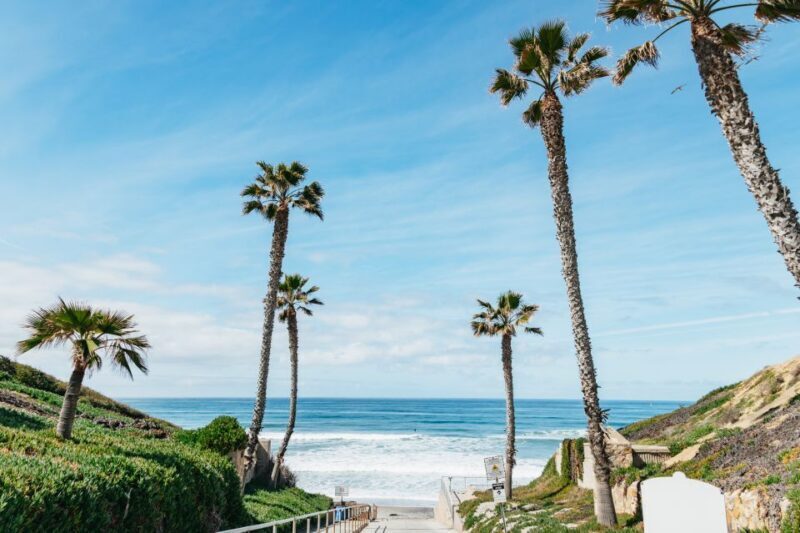 Solana Beach: Private Surf Lesson with Board and Wetsuit - The Value and Pricing