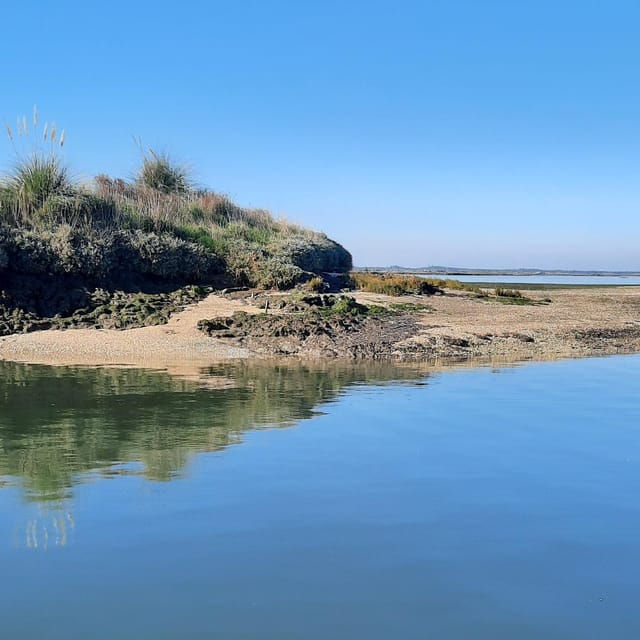 Solar Boat Tour Along the Salgado Da Ria De Aveiro - Good To Know
