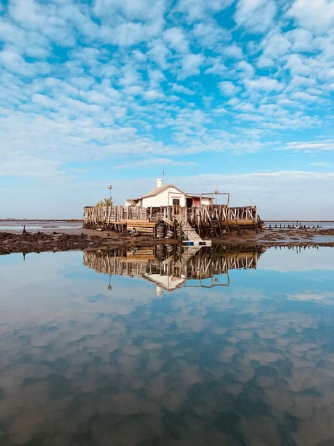 Solar Boat Tour Along the Salgado Da Ria De Aveiro - Meeting Point and Directions