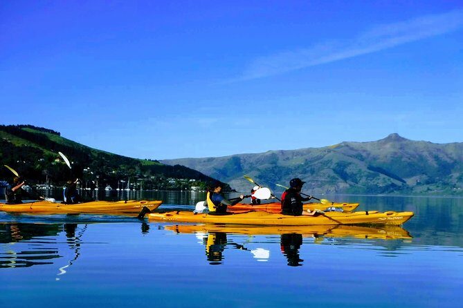 Solar Explorer in Akaroa - Sun-Viewing Tour with Telescopes - Who Will Love This Tour?