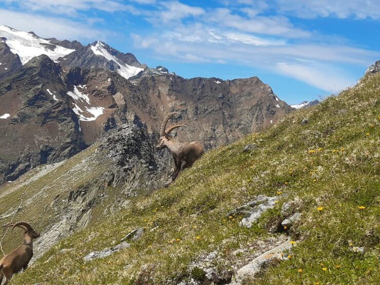 Sölden: MTB / Ebike Tours And/Or Hiking With Newadventure - Good To Know