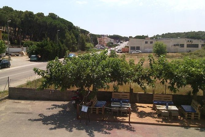 SOLÉS Anchovy Factory-Museum Admission With Anchovy Tasting  - Girona - Reviews