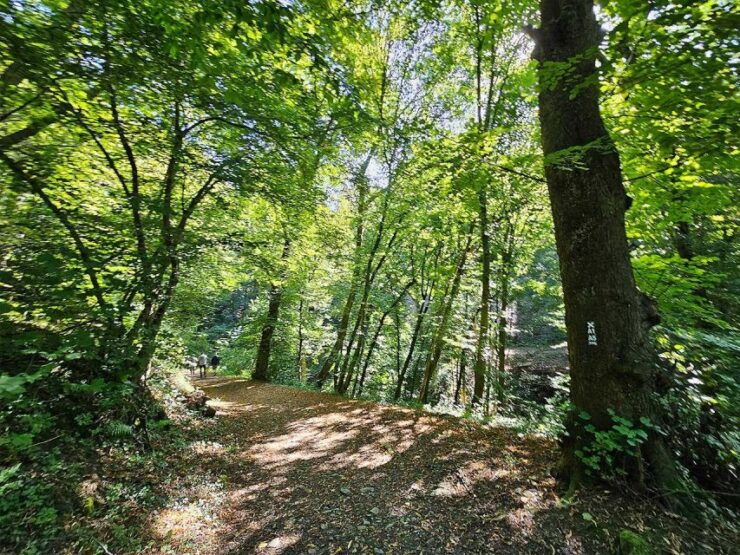 Solingen Burg: Smartphone City Scavenger Hunt - Activity Details