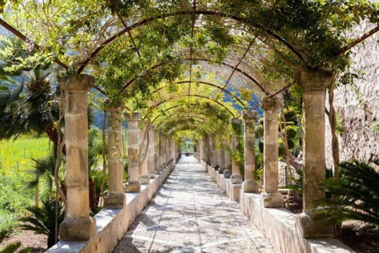 Sóller: Alfabia Gardens Entrance Ticket - Visitor Experience and Reviews