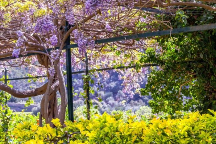 Sóller: Alfabia Gardens Entrance Ticket - Tips for a Great Experience