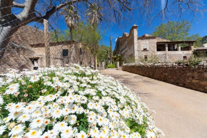 Sóller: Alfabia Gardens Entrance Ticket - Frequently Asked Questions